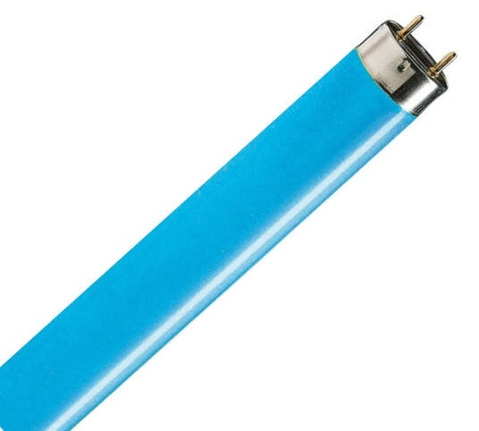 Osram lysrør 36W/67 T8 Blå