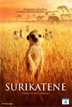 Surikatene DVD Surikatene DVD