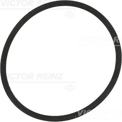 Tetning innsugningsmanifold REINZ 71 34204 00
