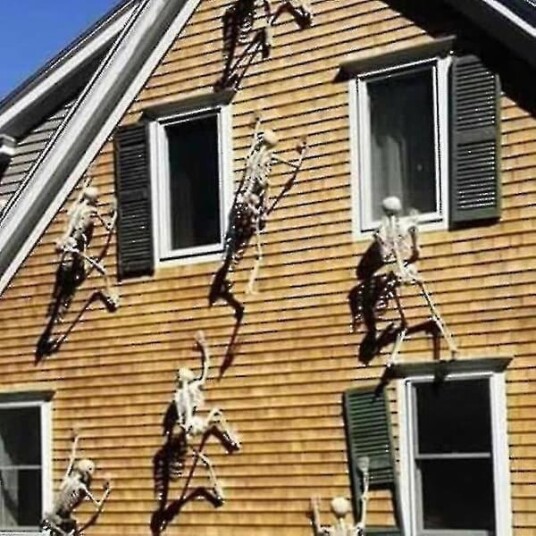 Halloween Poserbart Skjelett 90/150 cm