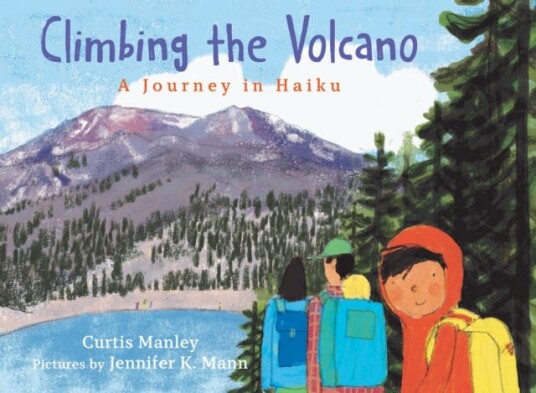 Climbing The Volcano Av Curtis Manley
