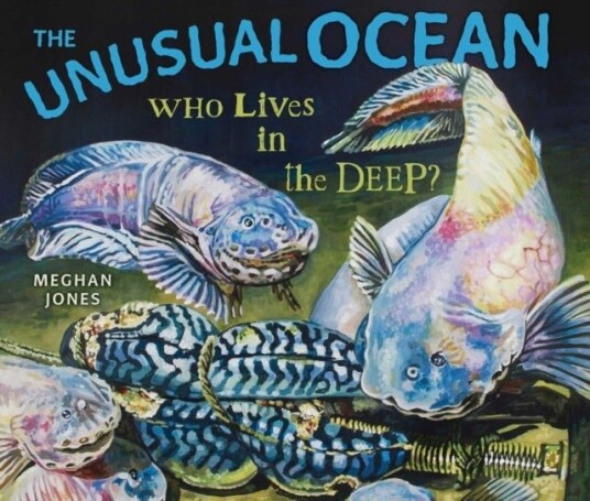 The Unusual Ocean The Unusual Ocean