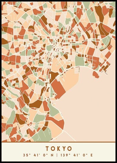 Black Maps Earth Tones 88 Poster Plakat / 30x40cm