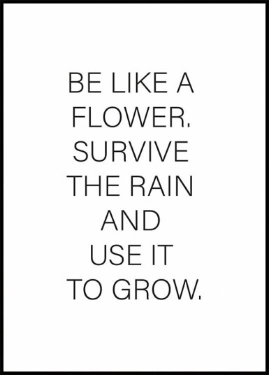 Like a Flower Plakat Plakat / 50x70cm