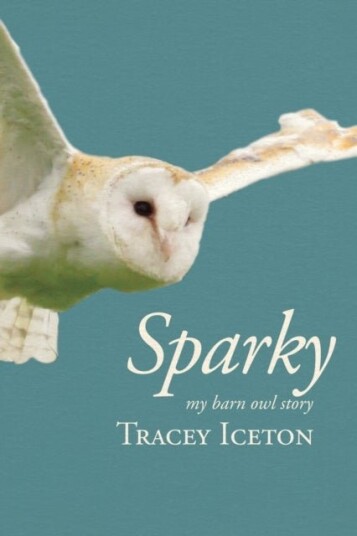 Sparky Sparky