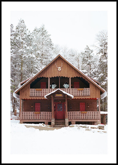 Upstate New York Snow XI Plakat Plakat / 50x70cm