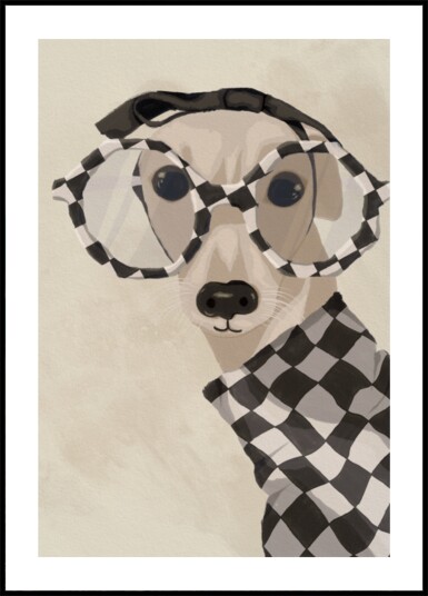 Chic Greyhound In Glasses Plakat / 100x150
