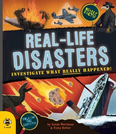 Real-Life Disasters Av Susan Martineau