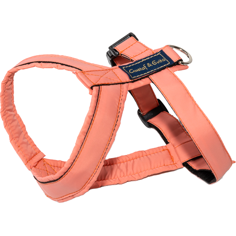 Harness Pro Peach No 0