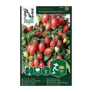 Nelson Garden Grønnsaksfrø tomat potte Funnyplums Rosy Pink Nelson Garden Grønnsaksfrø tomat potte Funnyplums Rosy Pink