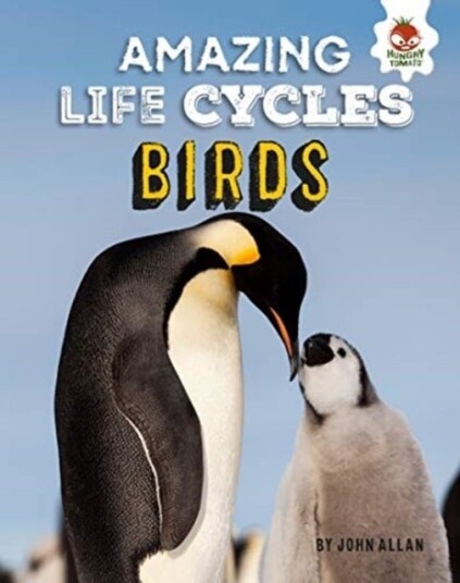 Birds - Amazing Life Cycles Birds - Amazing Life Cycles