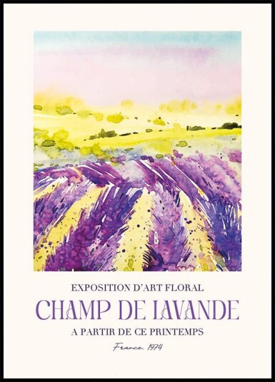 Champ De Lavande Plakat Plakat / 21x30cm
