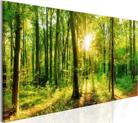 Bilde Green Magic 150x50 Artgeist sp. z o. o.