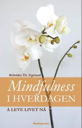 Mindfulness i hverdagen : å leve livet nå, Pent brukt bok