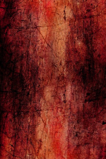 Wilton teppe Wells rød Størrelse: 200 x 280 cm Wilton teppe Wells rød Størrelse: 200 x 280 cm