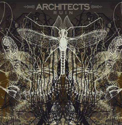 Architects  Ruin  LP/Vinyl