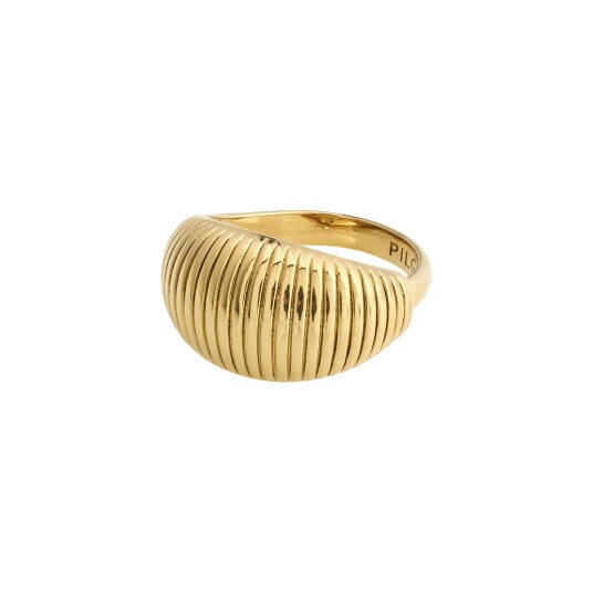 Pilgrim XENA ring gullbelagt