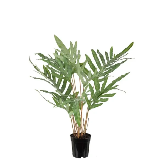 Mr Plant Storbladet bregne 75 cm Mr Plant Storbladet bregne 75 cm