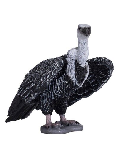 Mojo   Wildlife Griffon Vulture   387165