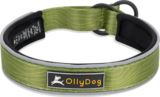 Ollydog Martingale Reflective Comfort Collar Cactus S Cactus