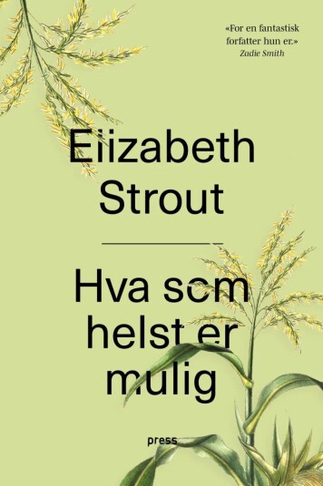 Hva Som Helst Er Mulig Av Elizabeth Strout