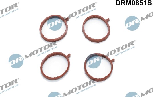 Pakkningssett innsugningsmanifold Dr.Motor Automotive DRM0851S