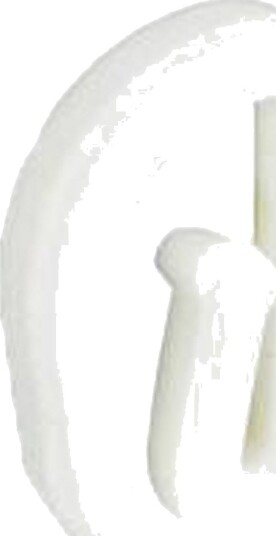 Securpak Plastic Curtain Hooks Pack of 50