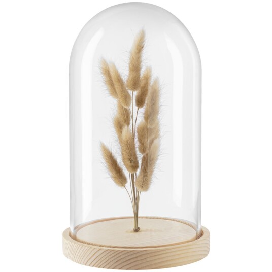 Vega VEGA Dekorasjon Bojana 15.8x26 cm ØxH Transparent/Natur