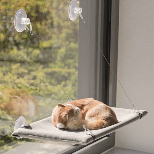 Trixie Katteseng med Sugekopper 50x30 cm i Polyester