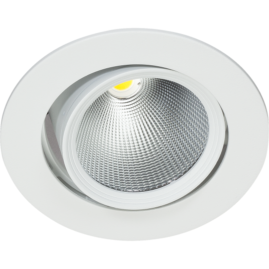 Easyform Pride Downlight justerbar 360°/ 20° 12W Belysning