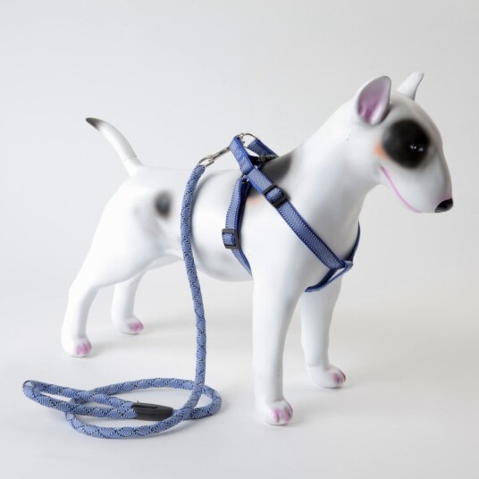 Selesett I Duse Farger: Sele Og Hundekobbel