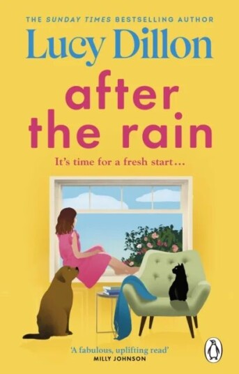 After The Rain Av Lucy Dillon