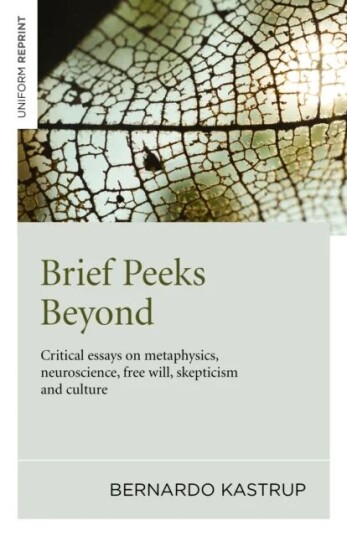 Brief Peeks Beyond Av Bernardo Kastrup