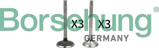Borsehung B18765 Ventil