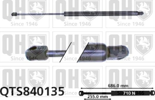 QUINTON HAZELL QTS840135 Baklukedemper