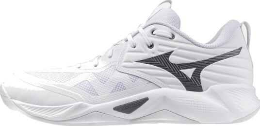 Mizuno WAVE MOMENTUM PRO(U)