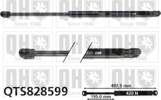 QUINTON HAZELL QTS828599 Baklukedemper