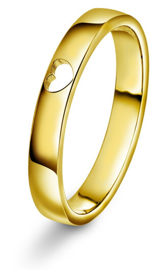 Pan Jewelry Hjerteglimt ring i 925 forgylt sølv størrelse 54