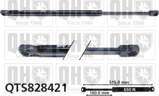 QUINTON HAZELL QTS828421 Baklukedemper