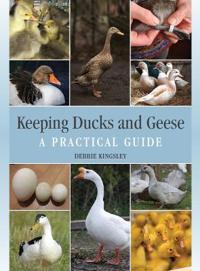 Keeping Ducks And Geese Av Debbie Kingsley Keeping Ducks And Geese Av Debbie Kingsley