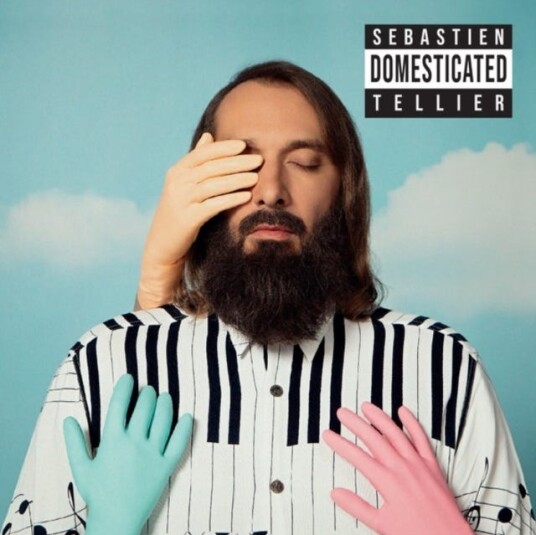 Sebastien Tellier  Domesticated  LP/Vinyl