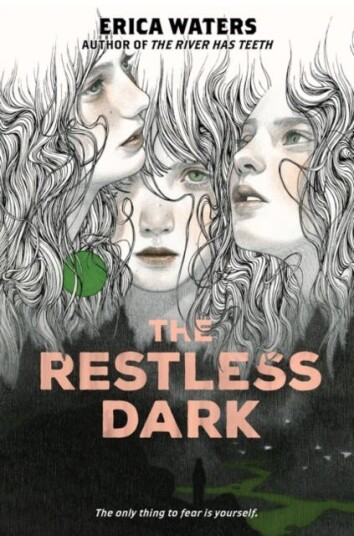 The Restless Dark Av Erica Waters
