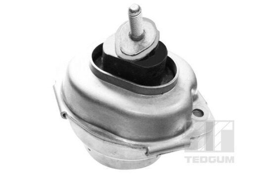 Motorfeste TEDGUM 00088466
