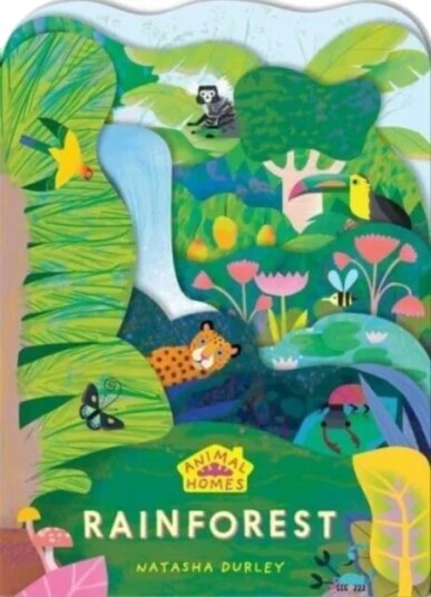 Animal Homes: Rainforest Animal Homes: Rainforest