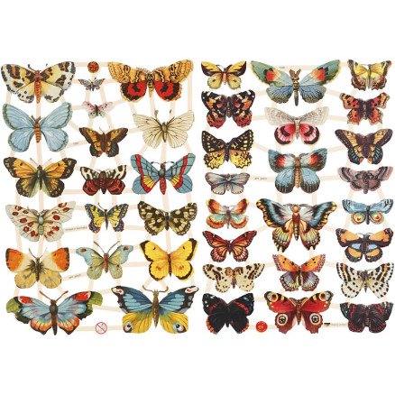 Diverse Blanke bilder sommerfugler ark 16,5x23,5 cm 2 ark 1 pk
