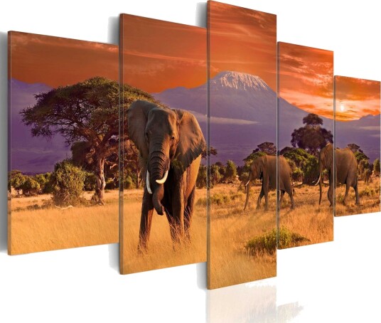 Bilde Africa Elephants 200x100 Artgeist sp. z o. o.