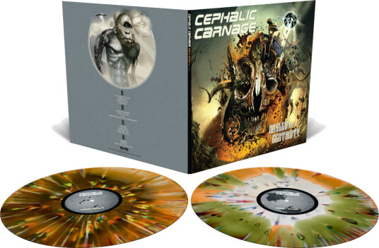 Misled By Certainty