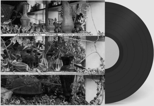 Windy Carl With Optigan Conservatory Windy Carl Meet Optigan Conservatory Vinyl