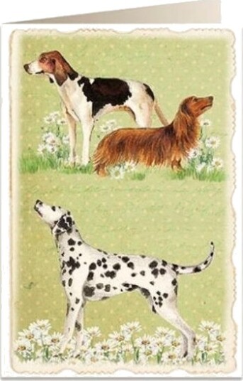 B6 Kaledner + Konvolutt 5905 Dogs