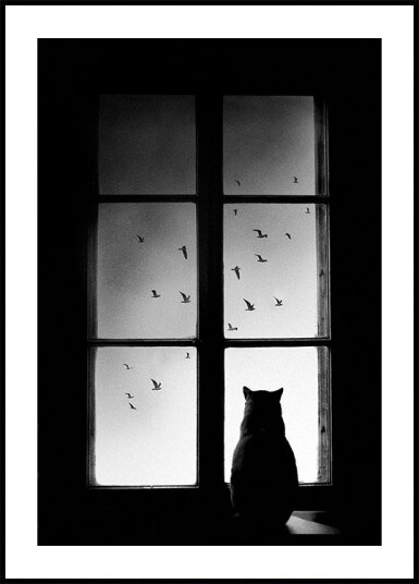 winter is coming Poster Plakat / 100x150cm winter is coming Poster Plakat / 100x150cm